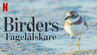 Birders: Fågelälskare (2019)