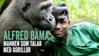 Alfred Bama: Mannen som talar med gorillor (2011)