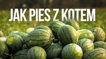 Jak Pies z Kotem (2018)