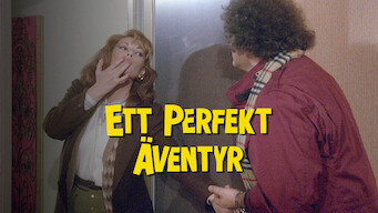 Ett perfekt äventyr (1982)