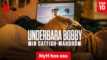 Underbara Bobby: Min catfish-mardröm (2024)