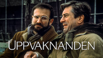 Uppvaknanden (1990)