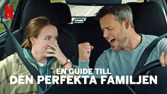 En guide till den perfekta familjen (2021)