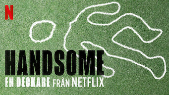 Handsome: En deckare från Netflix (2017)