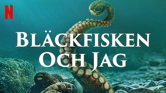 Bläckfisken och jag (2020)