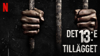 Det 13:e tillägget (2016)