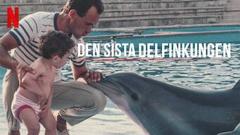 Den sista delfinkungen (2022)