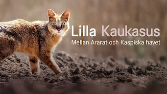 Lilla Kaukasus: Mellan Ararat och Kaspiska havet (2016)