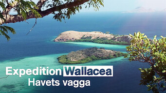 Expedition Wallacea: Havets vagga (2007)